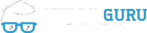 Nerdy Guru